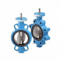 Van bướm kiểu Lug