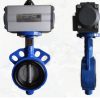 Pneumatic Butterfly Valve